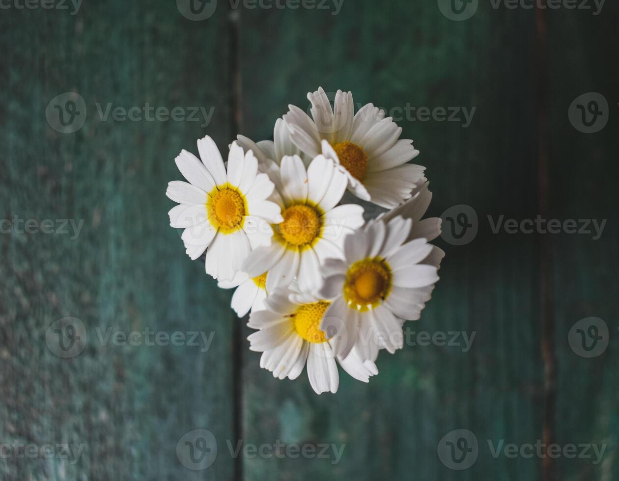 fleurs sur en bois Contexte photo