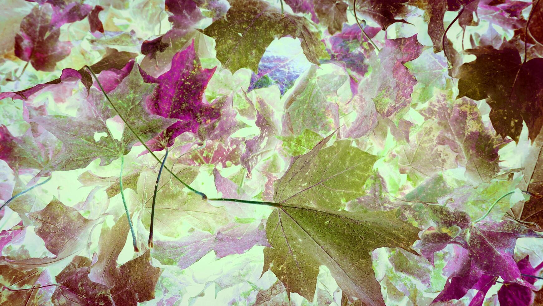 l'automne a arrivée dans le banlieue photo