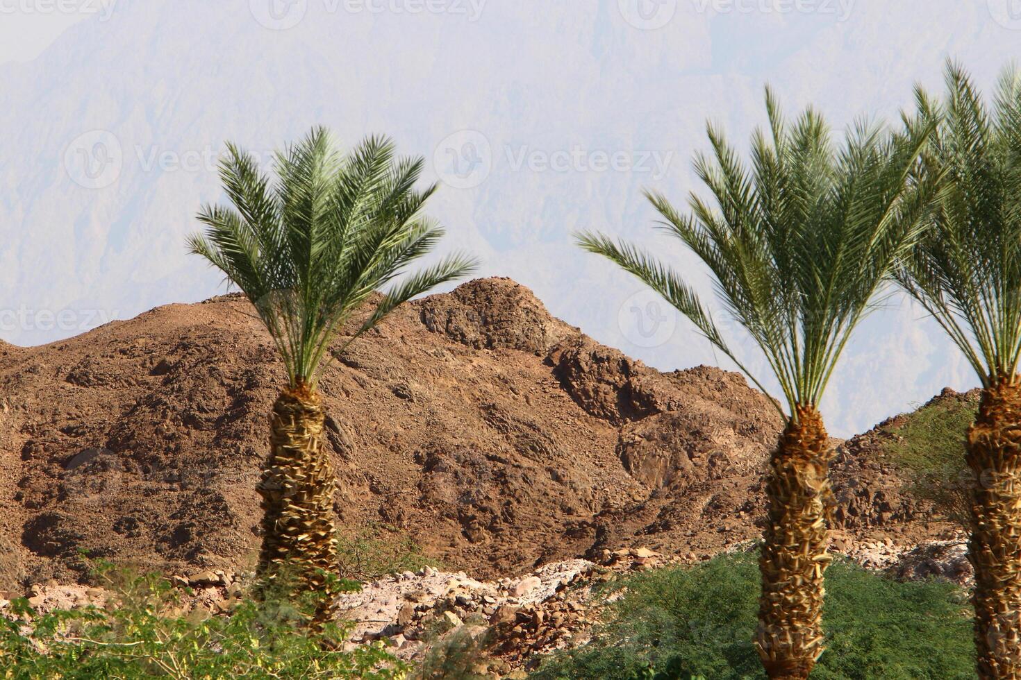 timna Montagne intervalle dans Eilat dans du sud Israël. photo