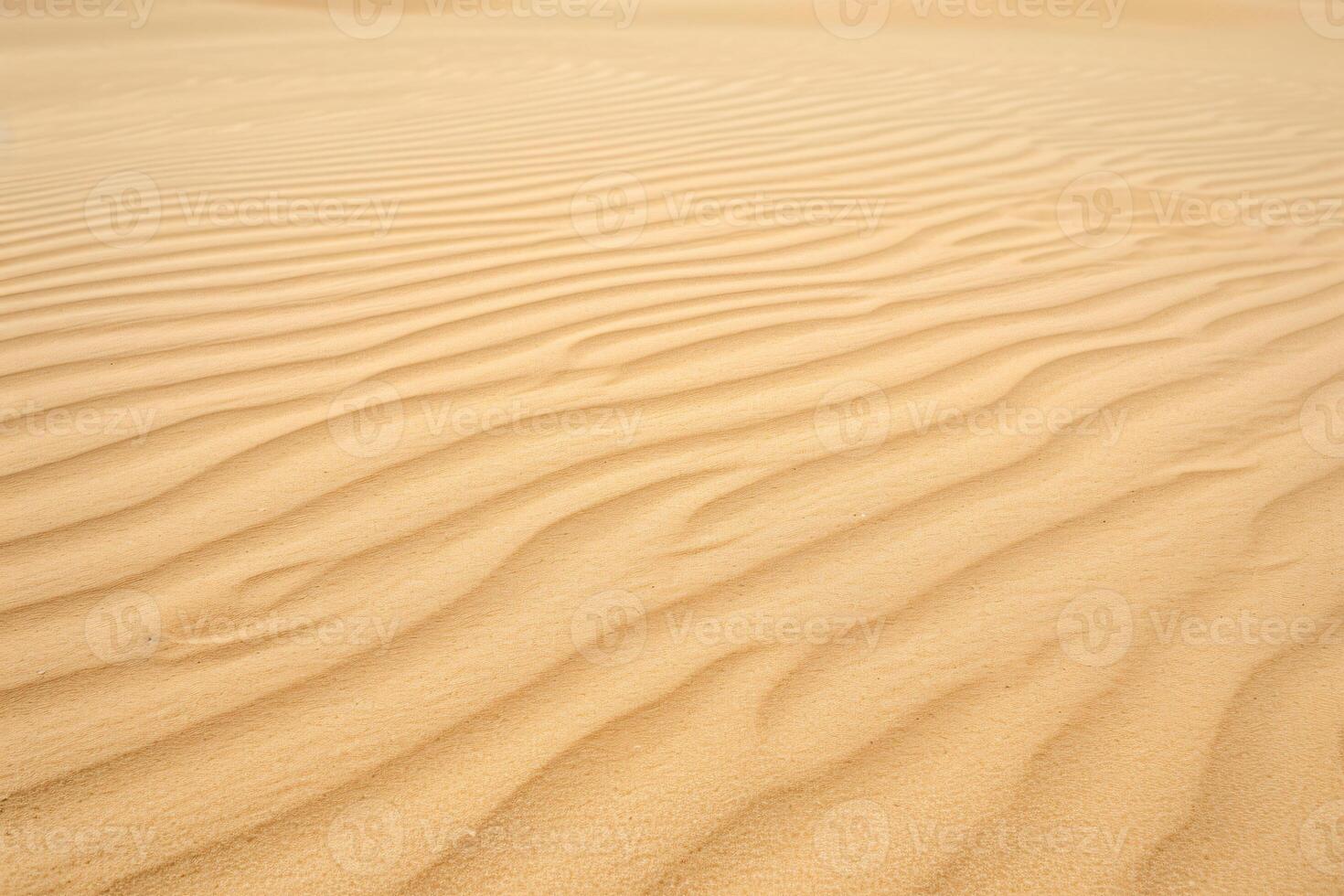 photo blanc en bois planche avec autre objets