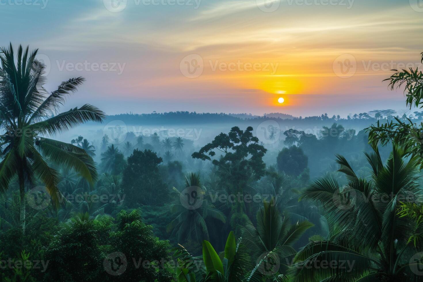 photo lever du soleil plus de bali jungle