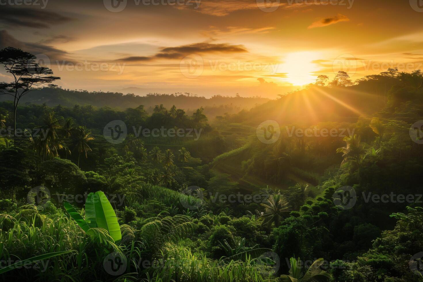 photo lever du soleil plus de bali jungle