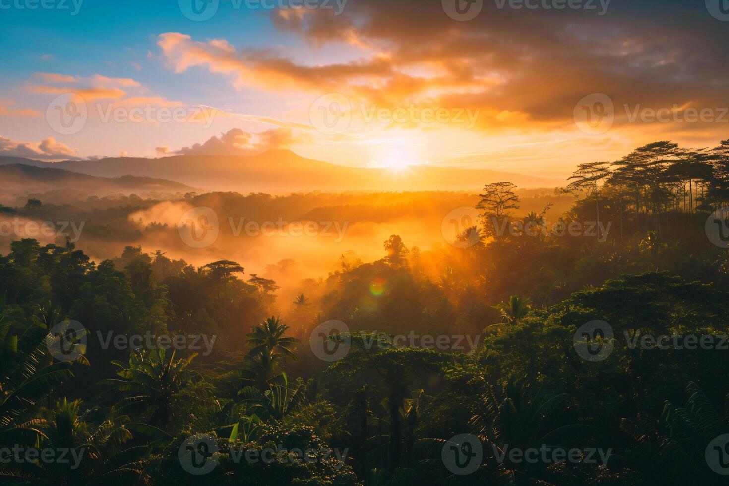 photo lever du soleil plus de bali jungle