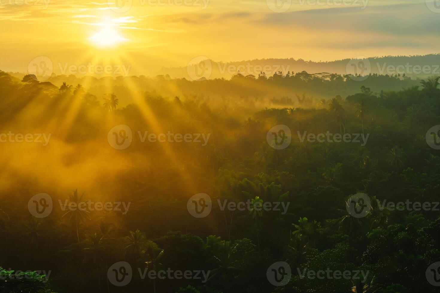 photo lever du soleil plus de bali jungle