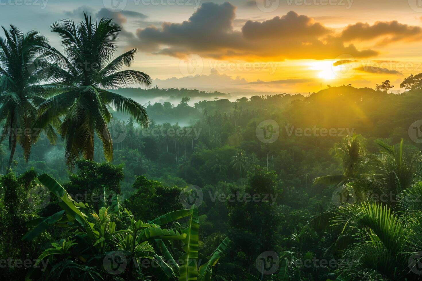 photo lever du soleil plus de bali jungle