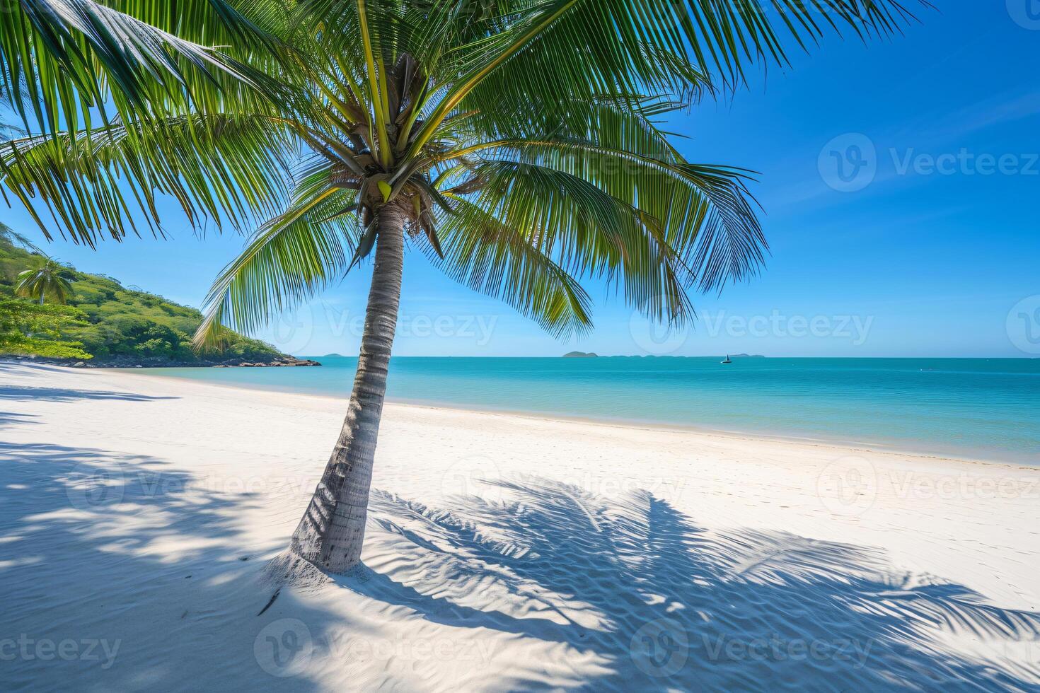 photo magnifique tropical plage et mer