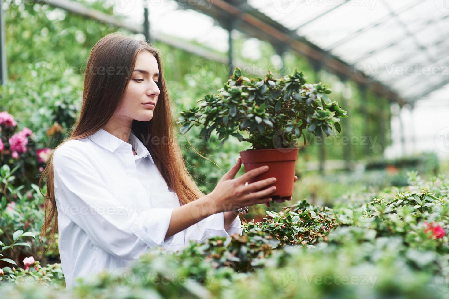 photo de jeune belle fille prenant soin des plantes dans la serre