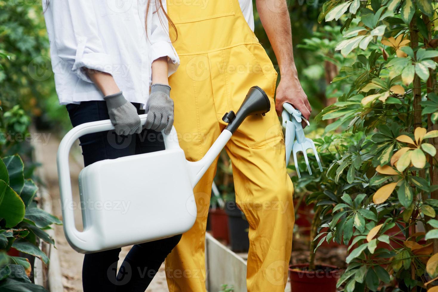 photo particulaire de deux jardiniers vêtus de vêtements de travail debout entre des plantes et tenant des outils spéciaux