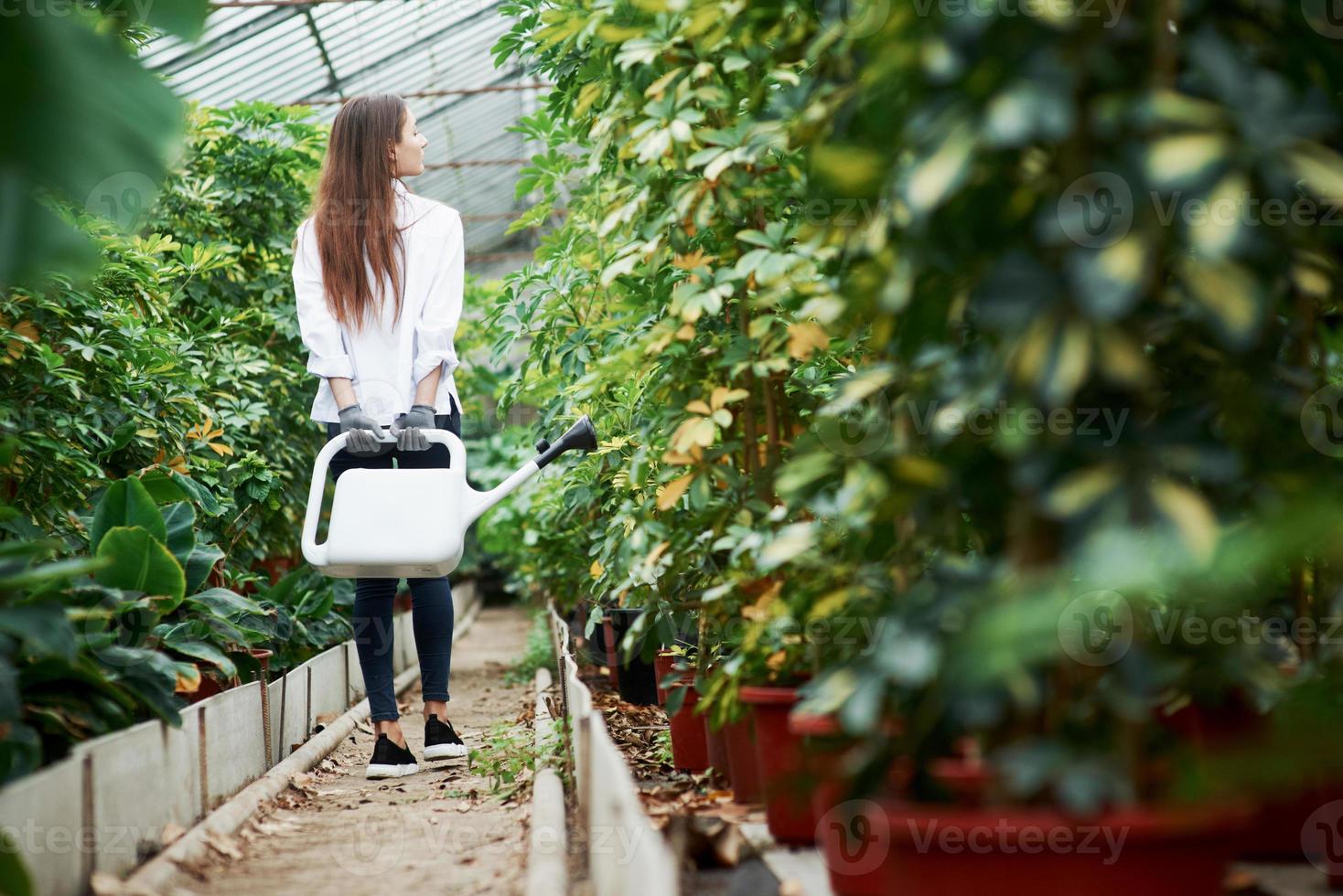 jeune fille marche entre les plantes dans la serre et tient un arrosoir photo