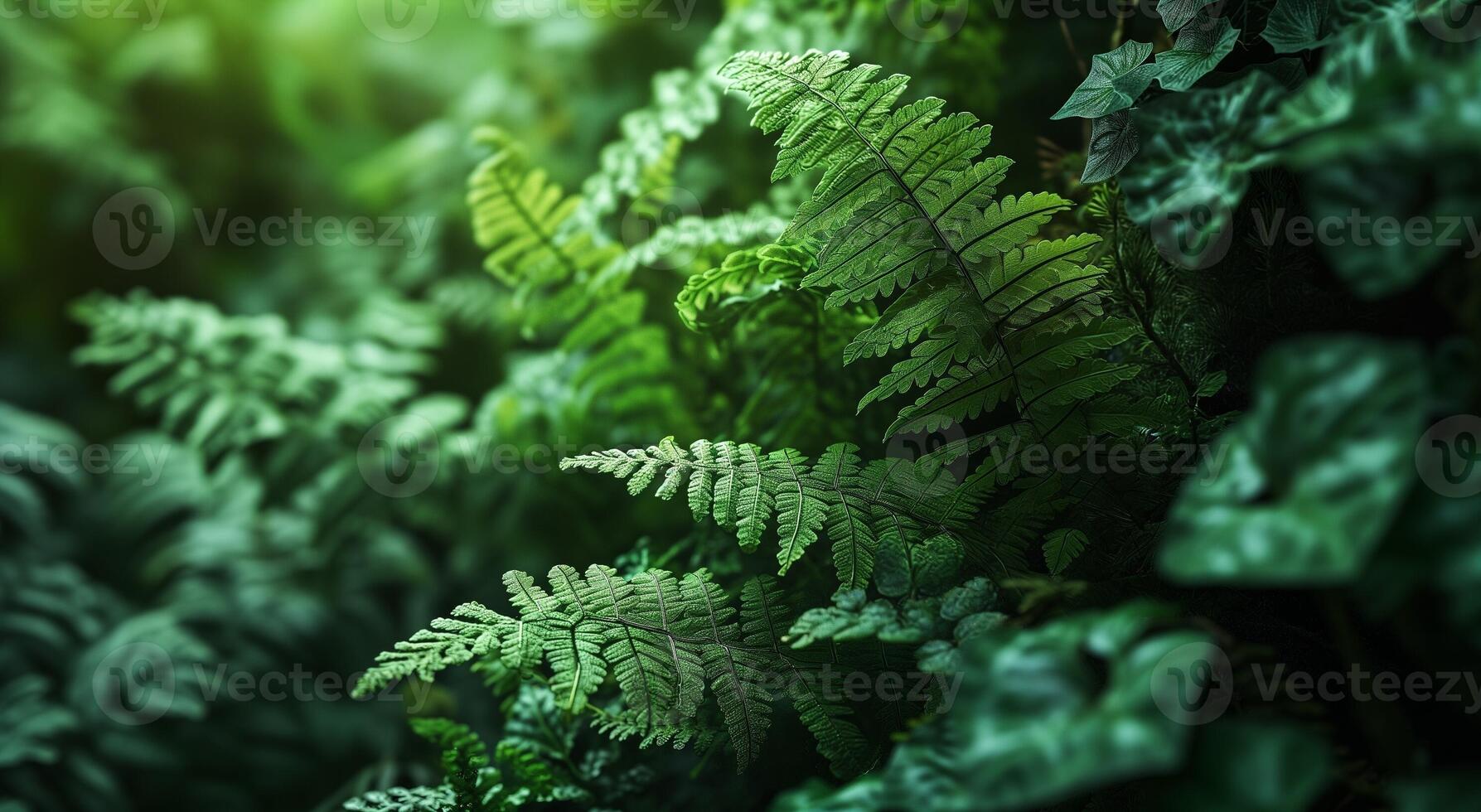 fougère feuilles dans nature, jardin. Naturel verdure Contexte. fougère les plantes dans forêt proche en haut. photo