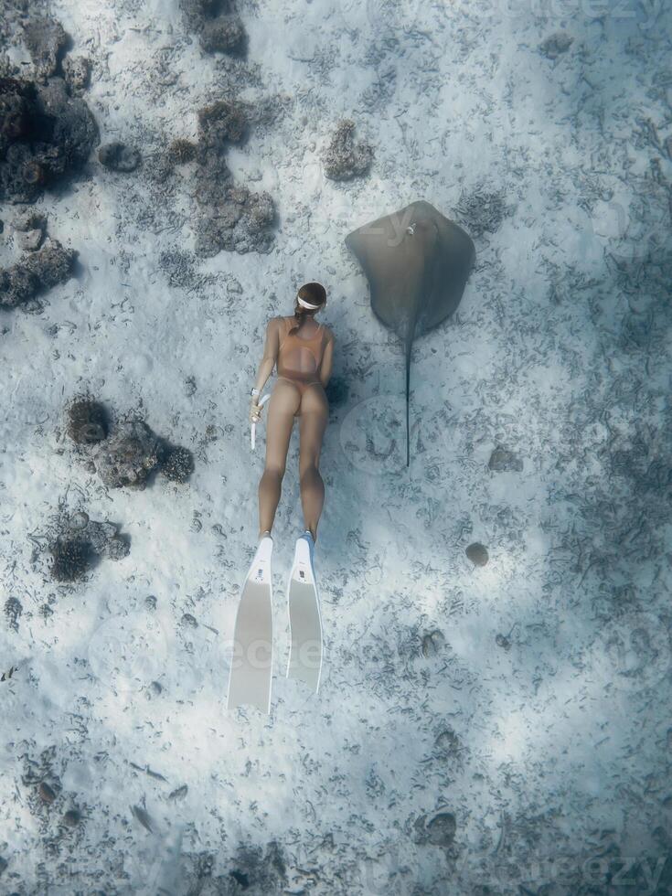 femme gratuit plongeur nager avec piquer rayon poisson dans bleu océan. photo