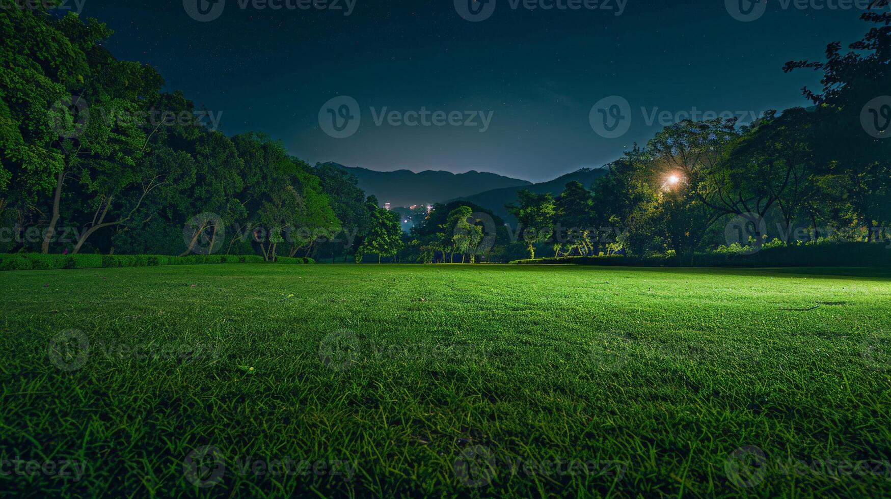 herbeux champ à nuit avec loin rue lumière photo