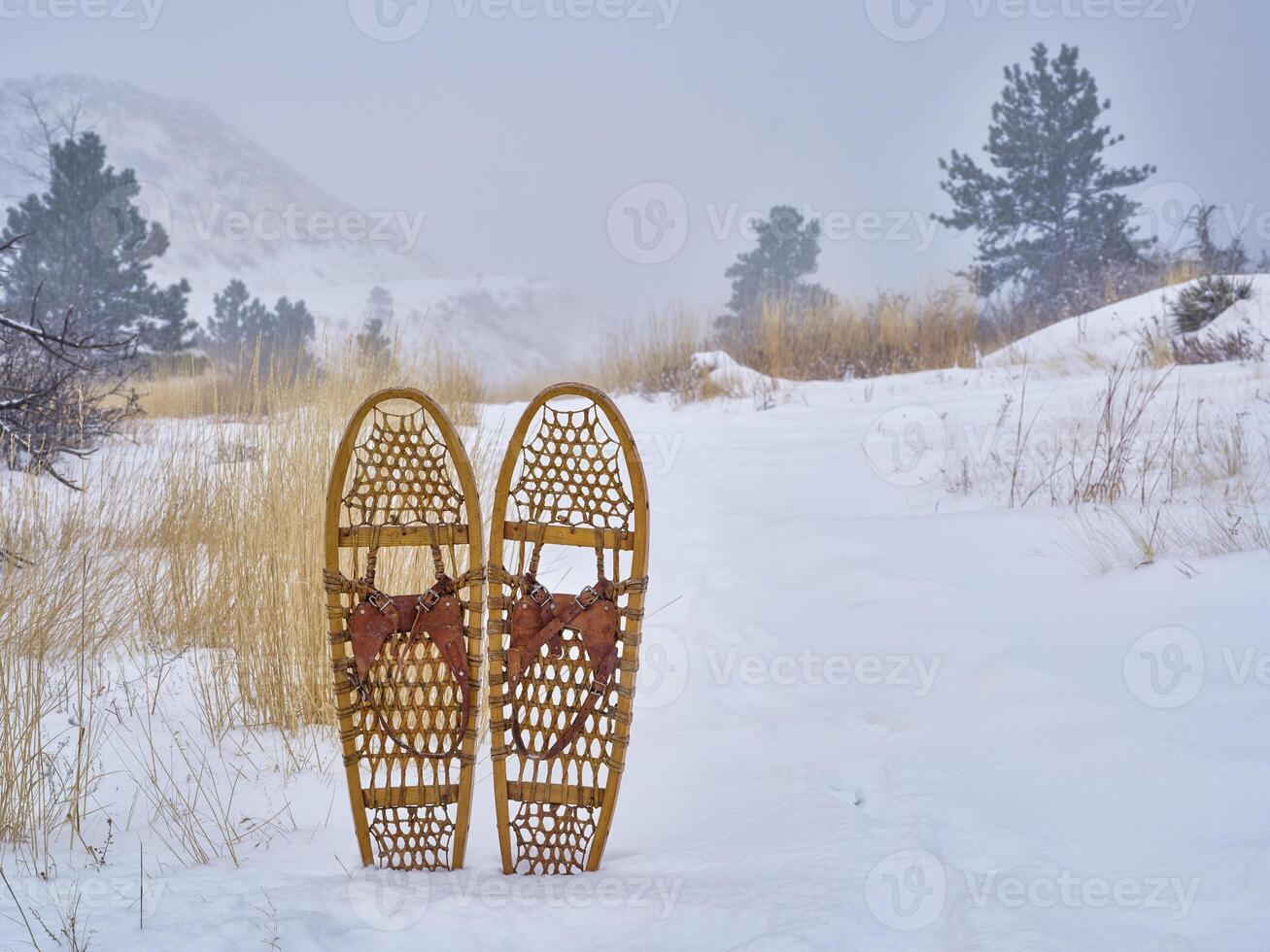 classique ours patte en bois raquettes dans Colorado photo