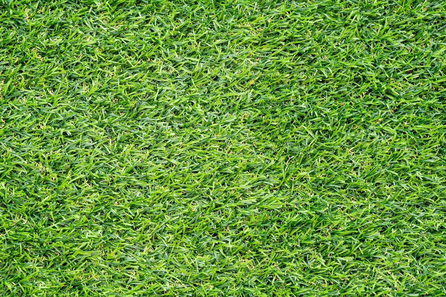 texture d'herbe verte pour le fond. motif de pelouse verte et fond de texture. photo