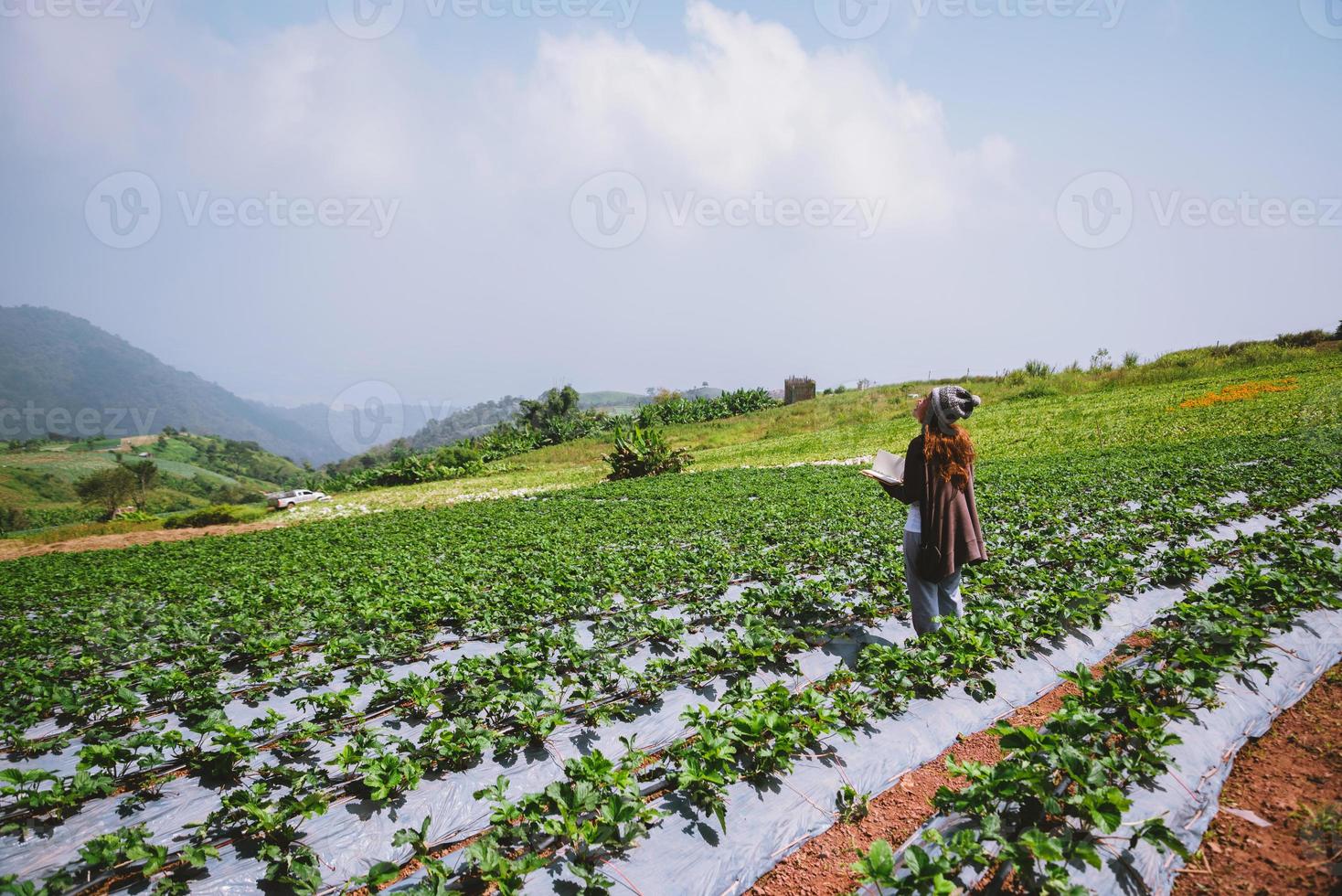 femme asiatique voyage nature. voyage se détendre. fille lisant un livre dans le potager. éducation à la nature écrire une note dans la fraise du jardin. Thaïlande photo