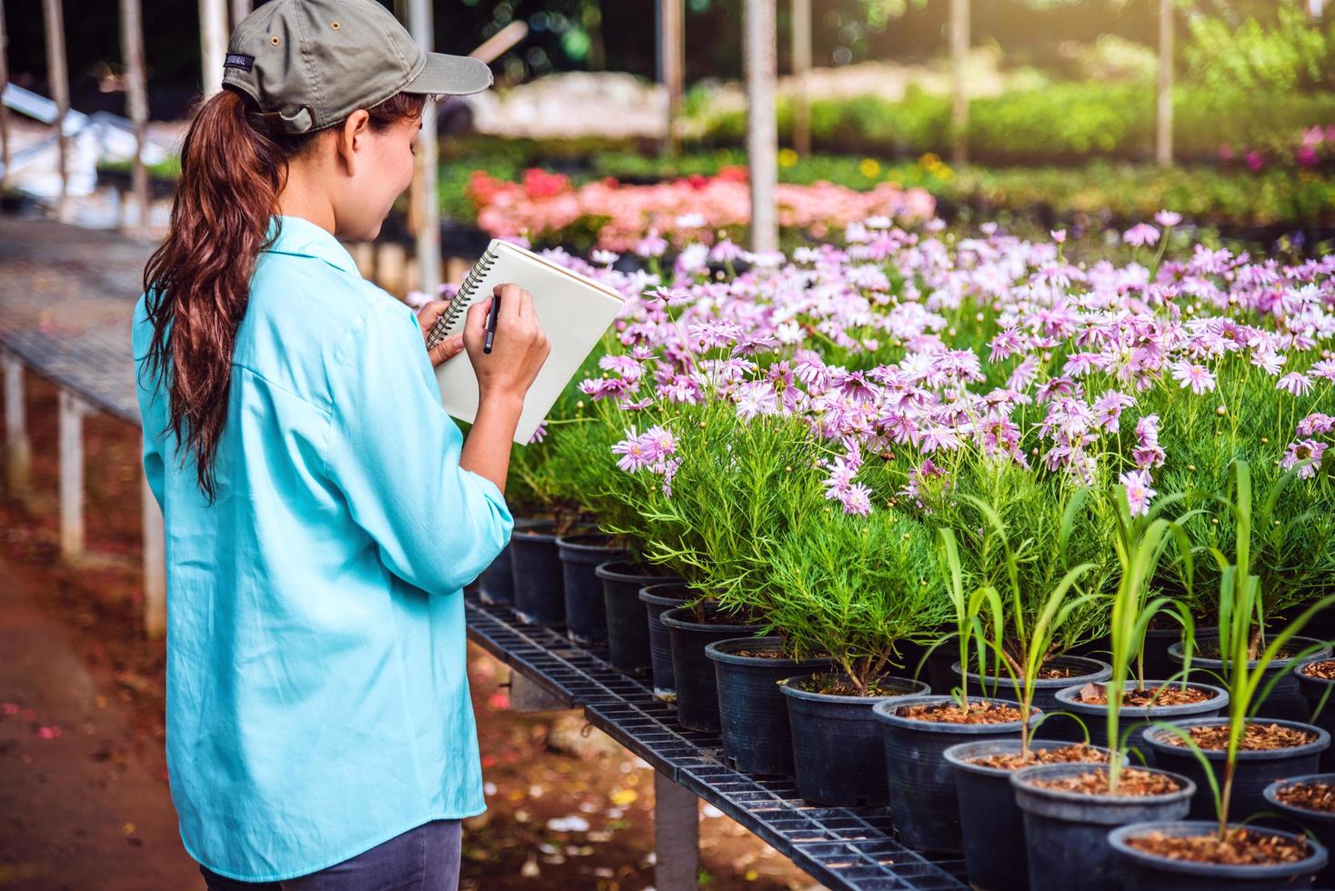 les jeunes femmes travaillant au jardin de fleurs étudient et écrivent des dossiers sur les changements des arbres à fleurs. fond de jardin fleuri photo