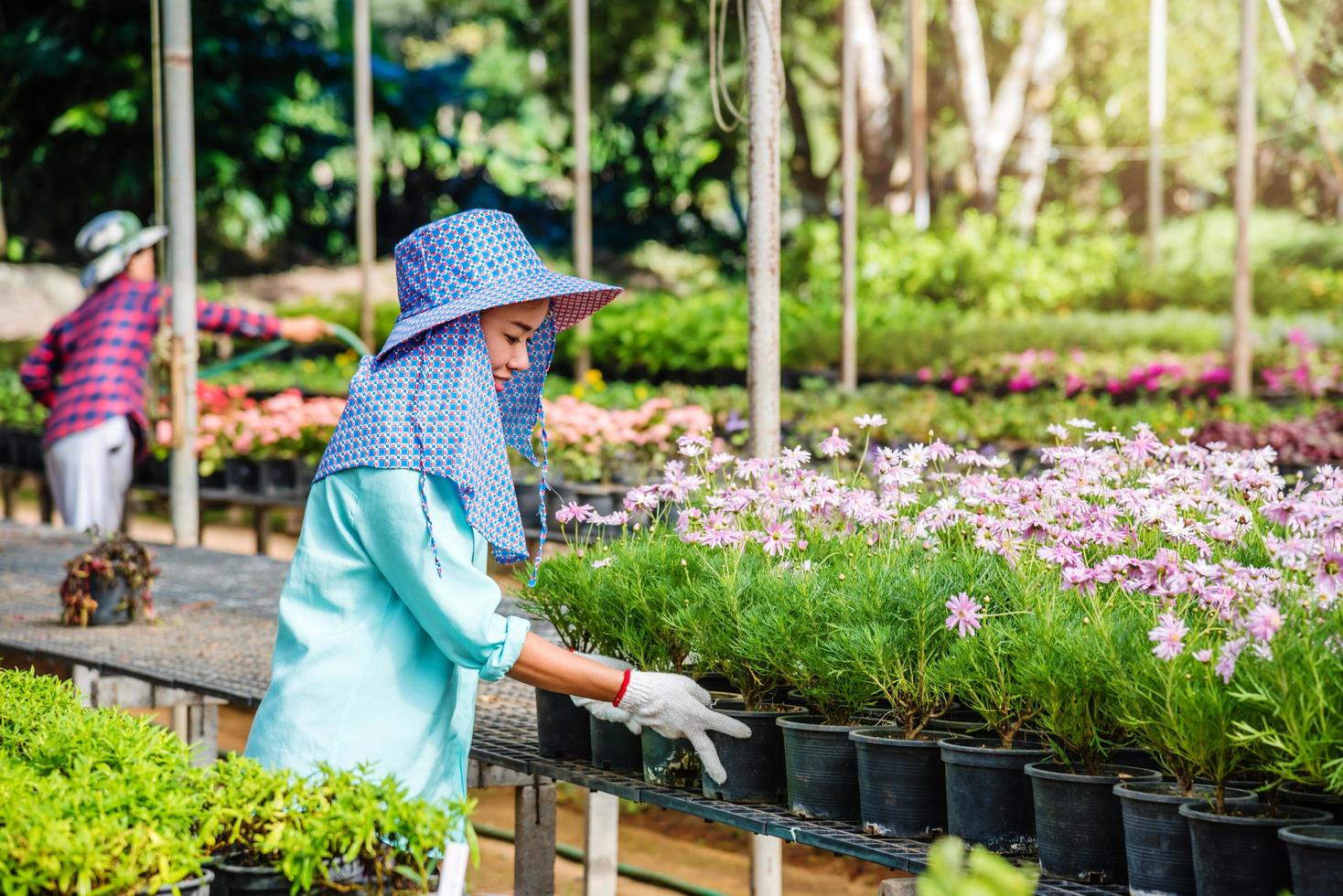 femme asiatique de travailleur heureux avec la plantation de fleurs en prenant soin des fleurs en serre. photo
