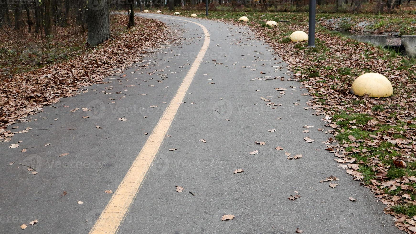 passerelle dans le parc avec une ligne de marquage jaune sur l'asphalte. à l'arrière-plan, des arbres et des buissons sont déjà en feuilles jaunes et oranges. temps chaud, journée ensoleillée. parc vide d'automne sans personnes photo