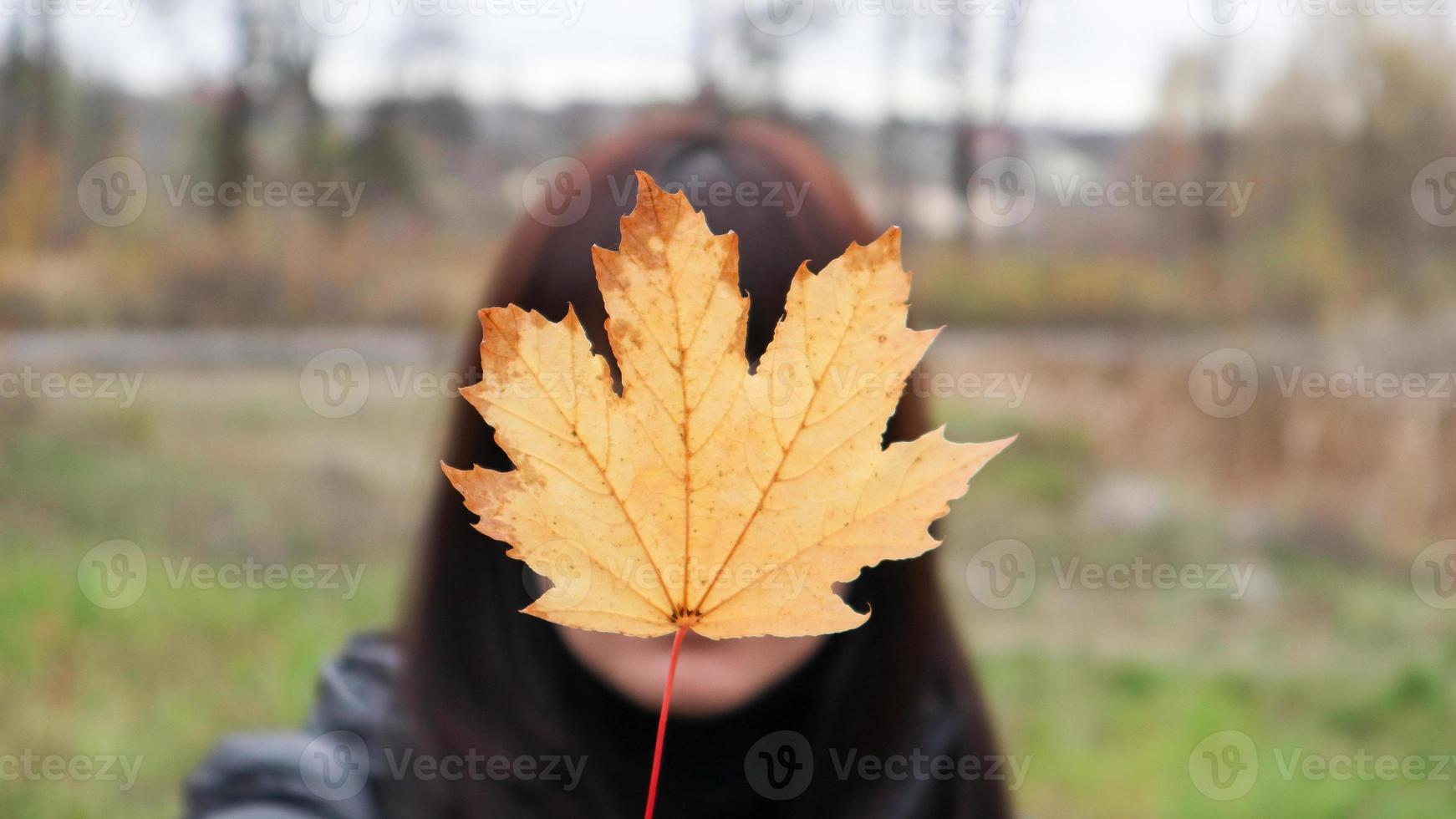 fille tient une feuille d'érable jaune devant elle. une jeune femme a couvert son visage d'une feuille d'érable d'automne jaune dans un parc. jolie fille profitant du temps chaud. ambiance d'automne. profiter de la saison photo