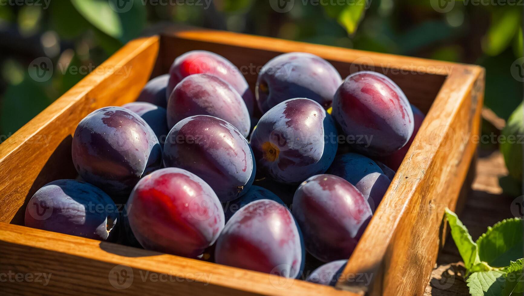 mûr prune dans une en bois boîte contre le Contexte de le jardin récolte photo