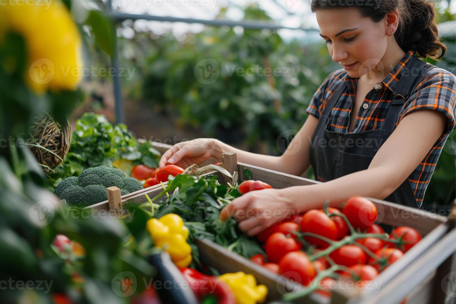 biologique agriculteur récolte Frais des légumes sur sa cultiver, cloche poivrons, tomates, brocoli photo