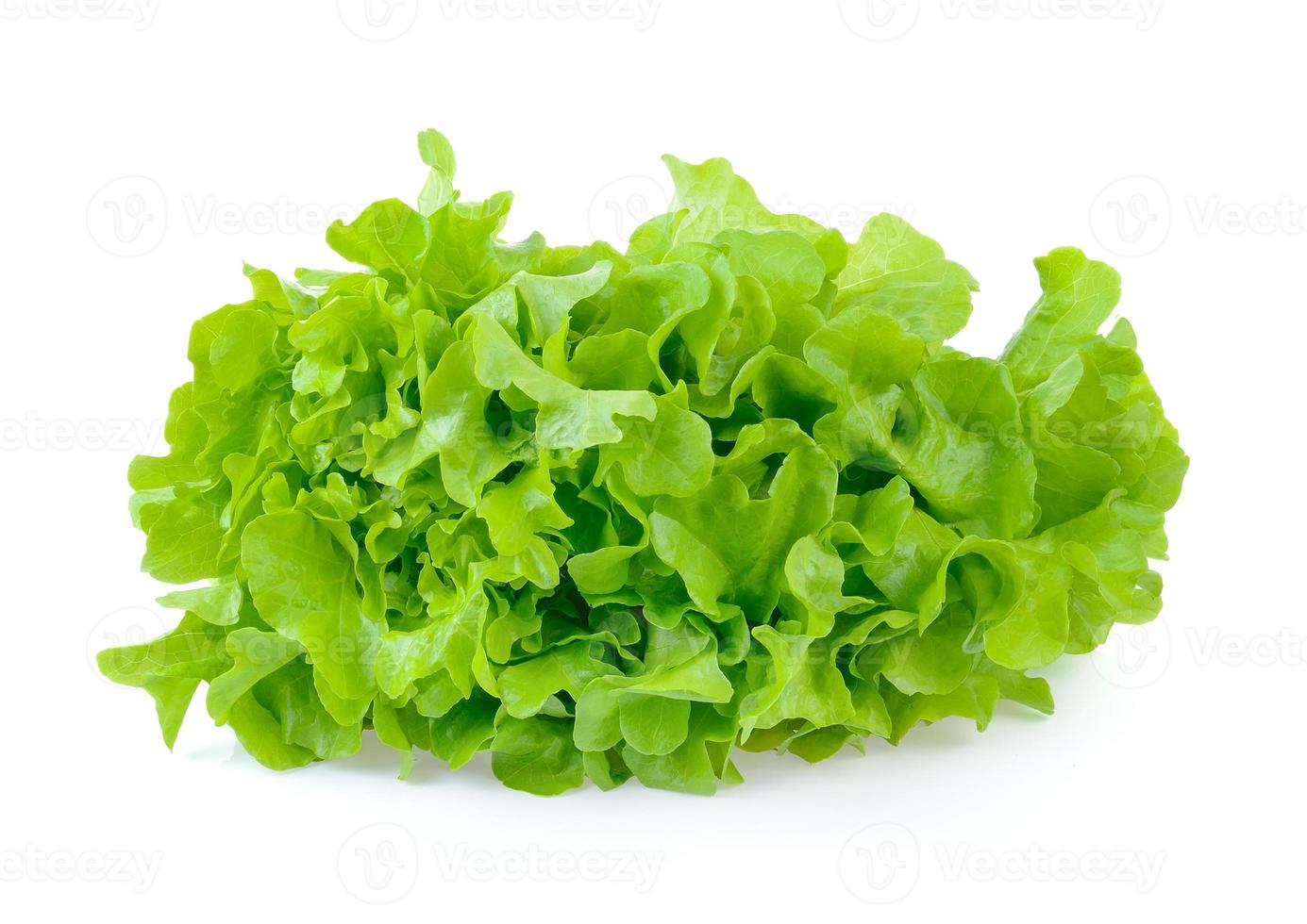 feuille de salade. laitue isolé sur fond blanc photo