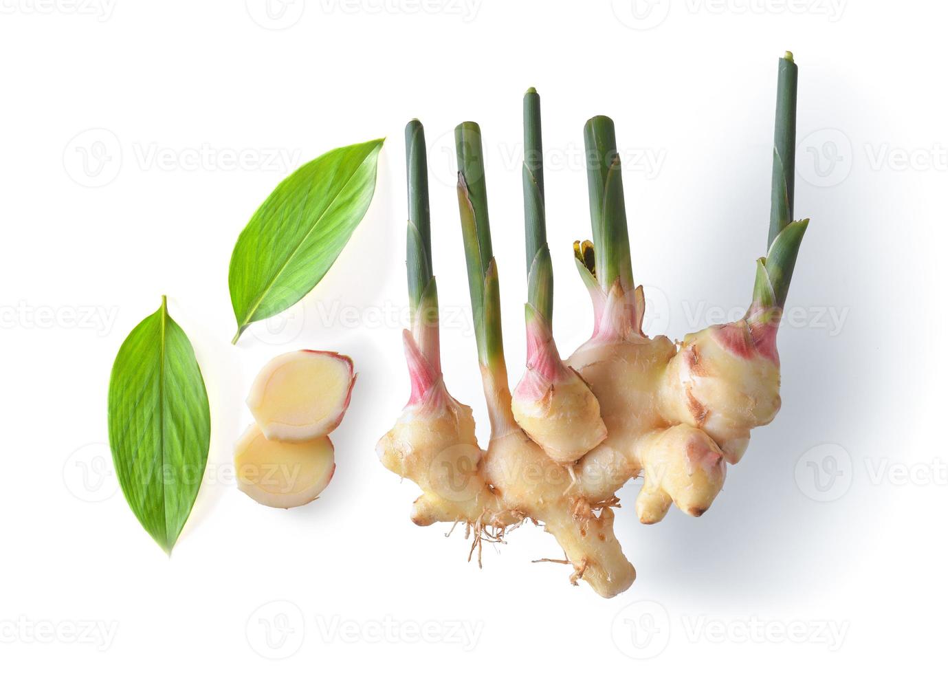 gingembre frais avec des feuilles isolées sur fond blanc photo