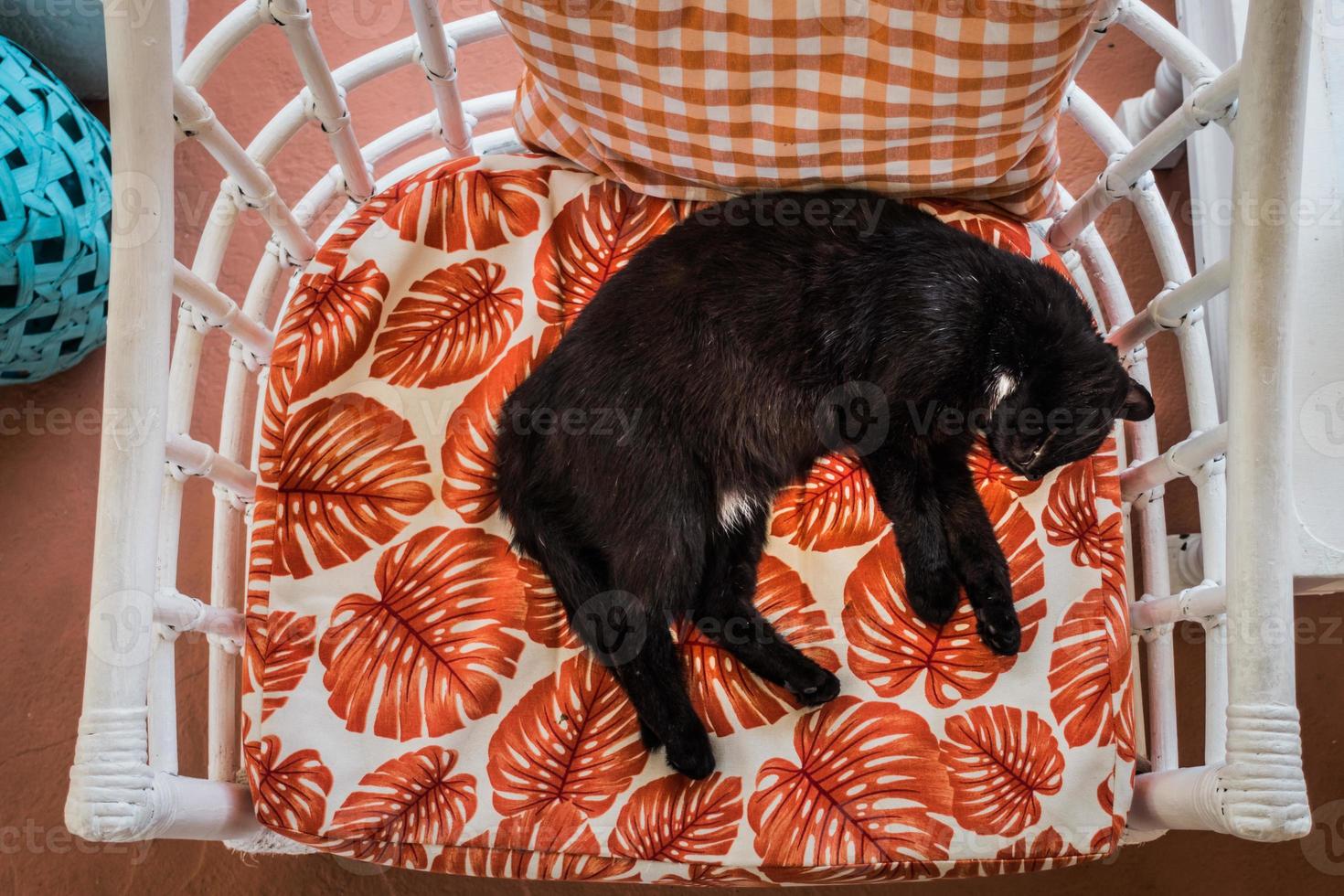 jeune chat noir dormant sur une chaise par une chaude journée d'été photo