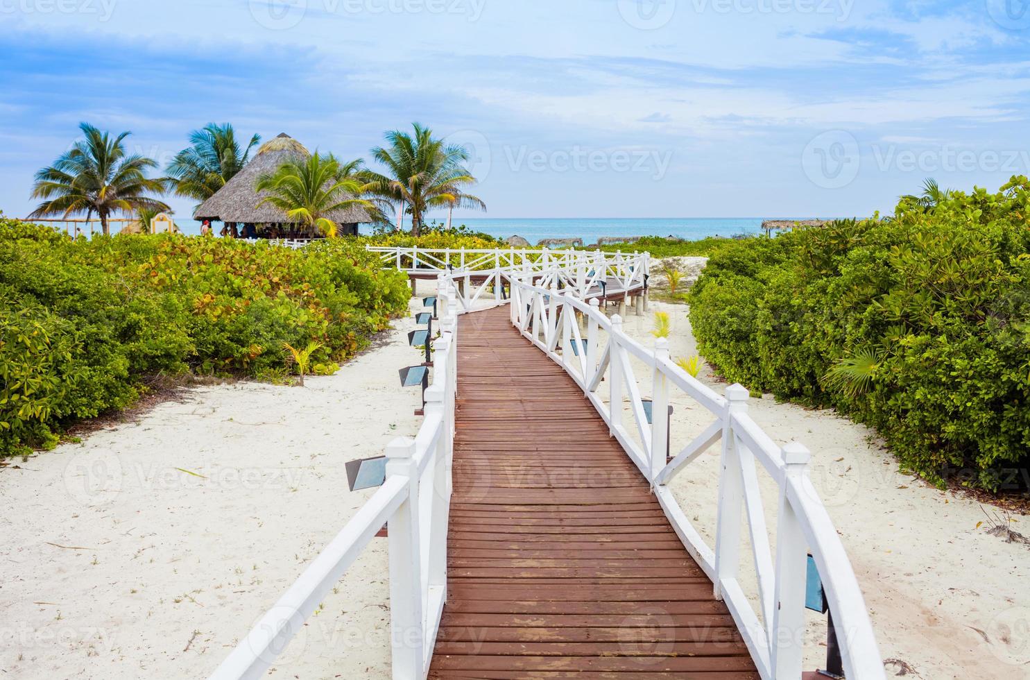 allée romantique pour aller à la plage photo