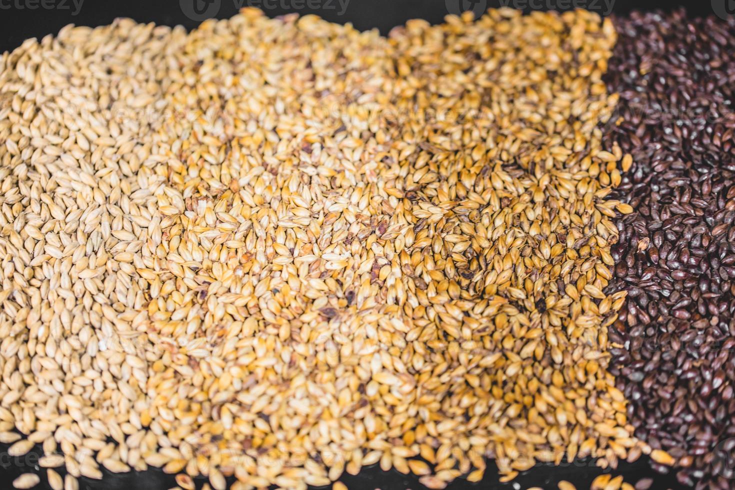 différentes textures de couleurs de grains de bière d'orge maltée. photo