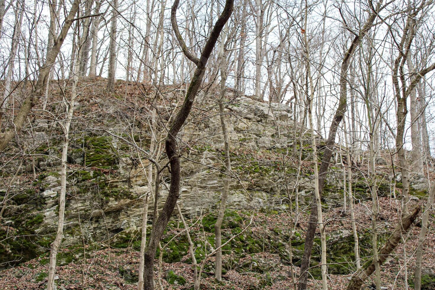 paysage autour le Shannondale rivière barrage dans Charles ville wv. photo