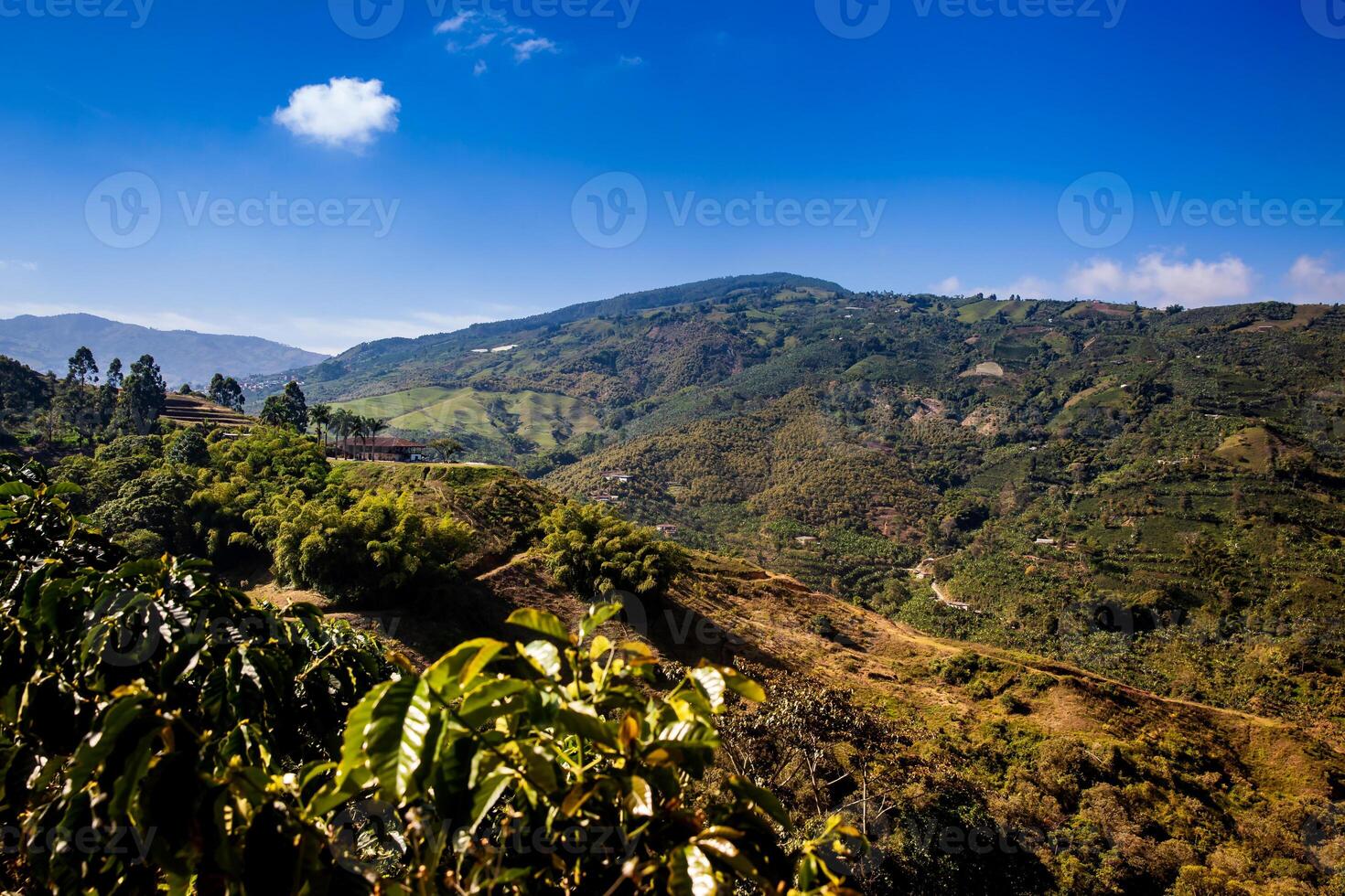 le magnifique café culturel paysage de Colombie déclaré comme une monde patrimoine site dans 2011 photo