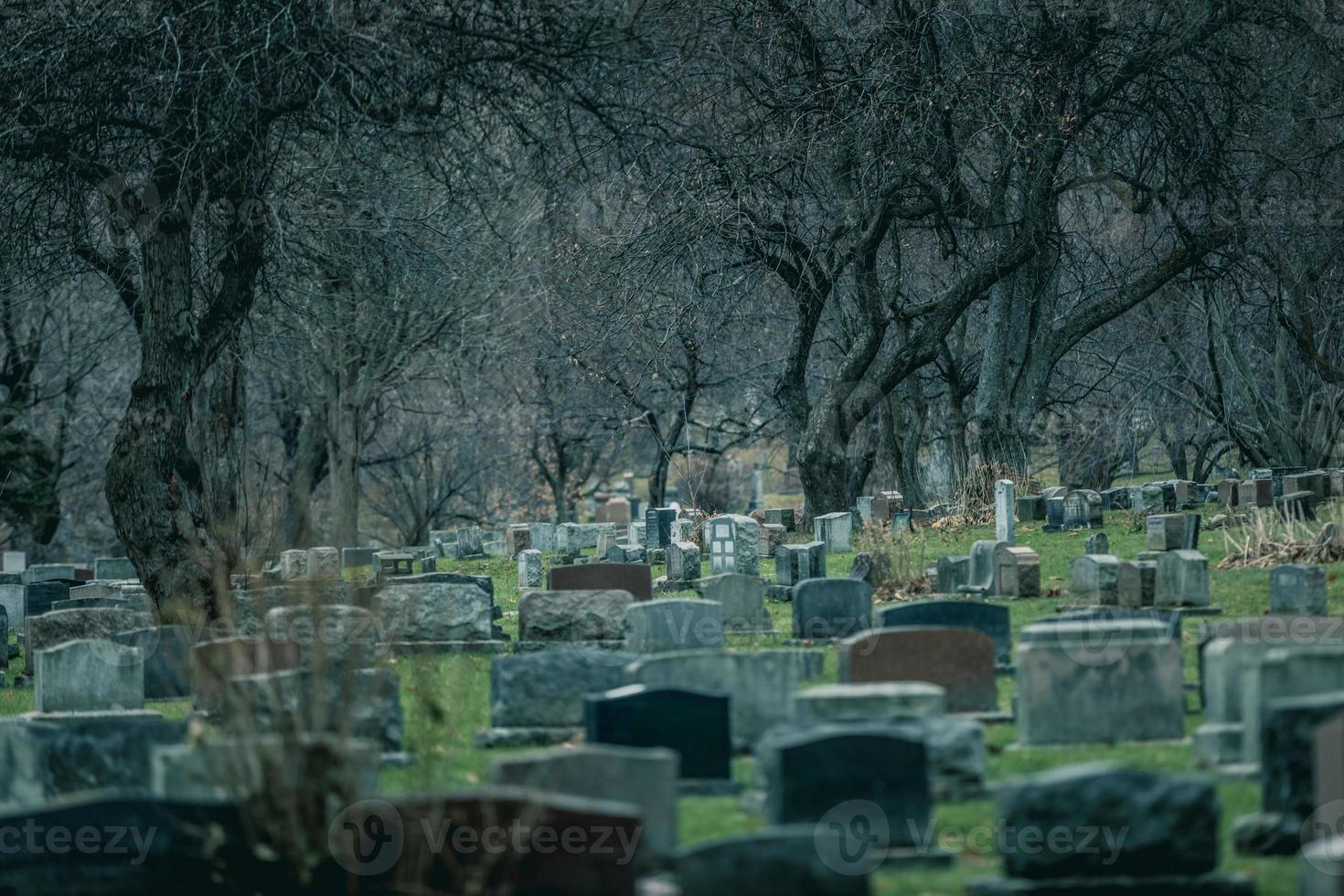 Retour de pierres tombales dans un vieux cimetière en automne photo