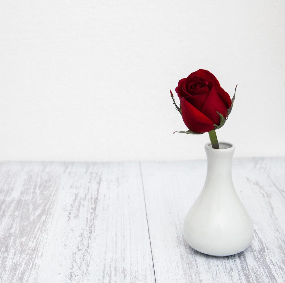 vase avec rose rouge photo
