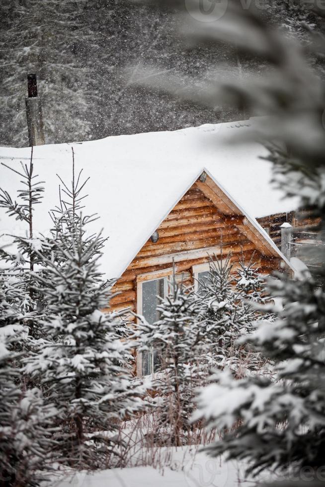 cabane en rondins de bois photo