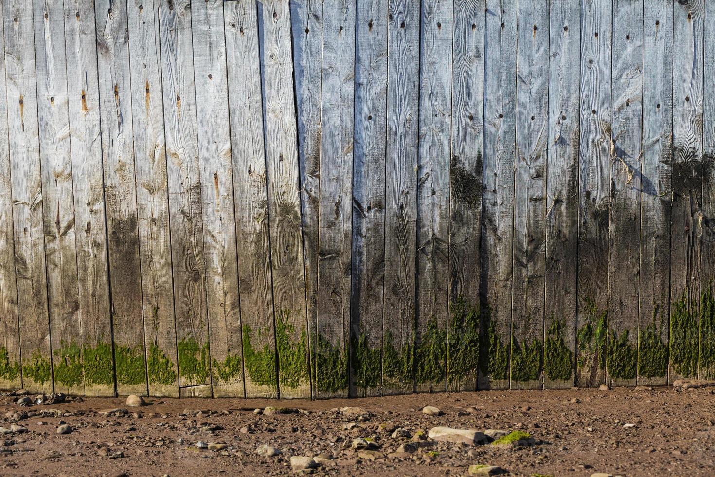 Vieux mur de planche de bois teinté photo