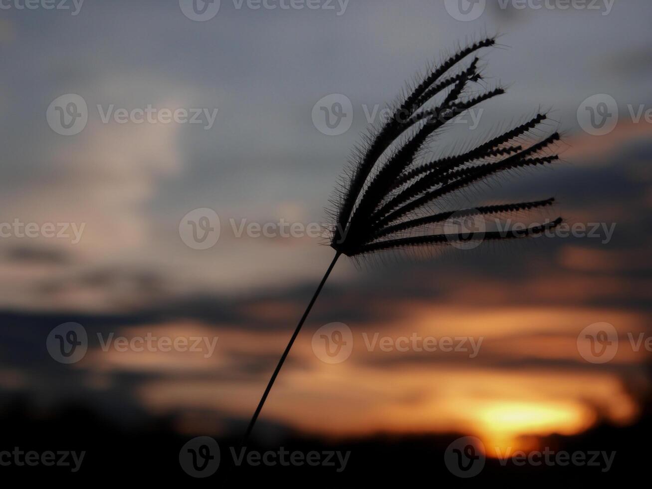 spectaculaire le coucher du soleil sur, Orange Soleil en hausse en haut plus de le horizon photo