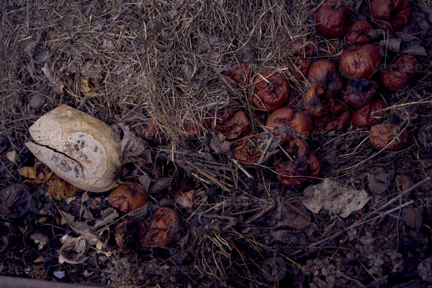 compost barrière, Accueil En traitement de biologique déchets photo