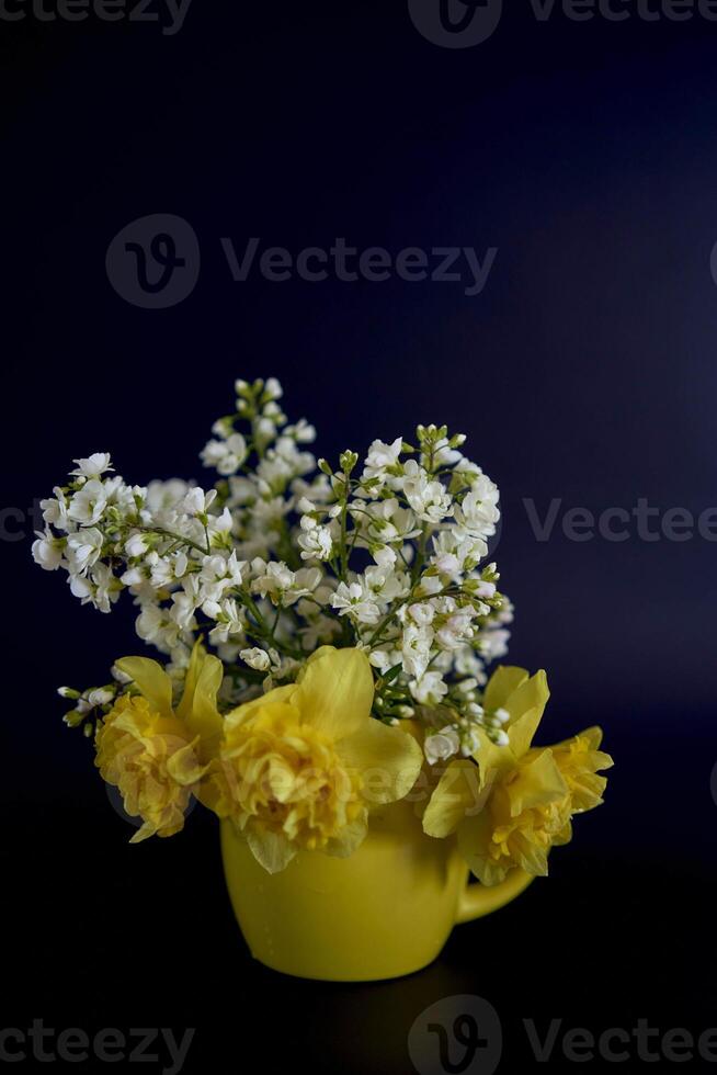 fleur arrangement de Jaune jonquilles et blanc arabe Caucasica dans une Jaune tasse sur une noir Contexte photo