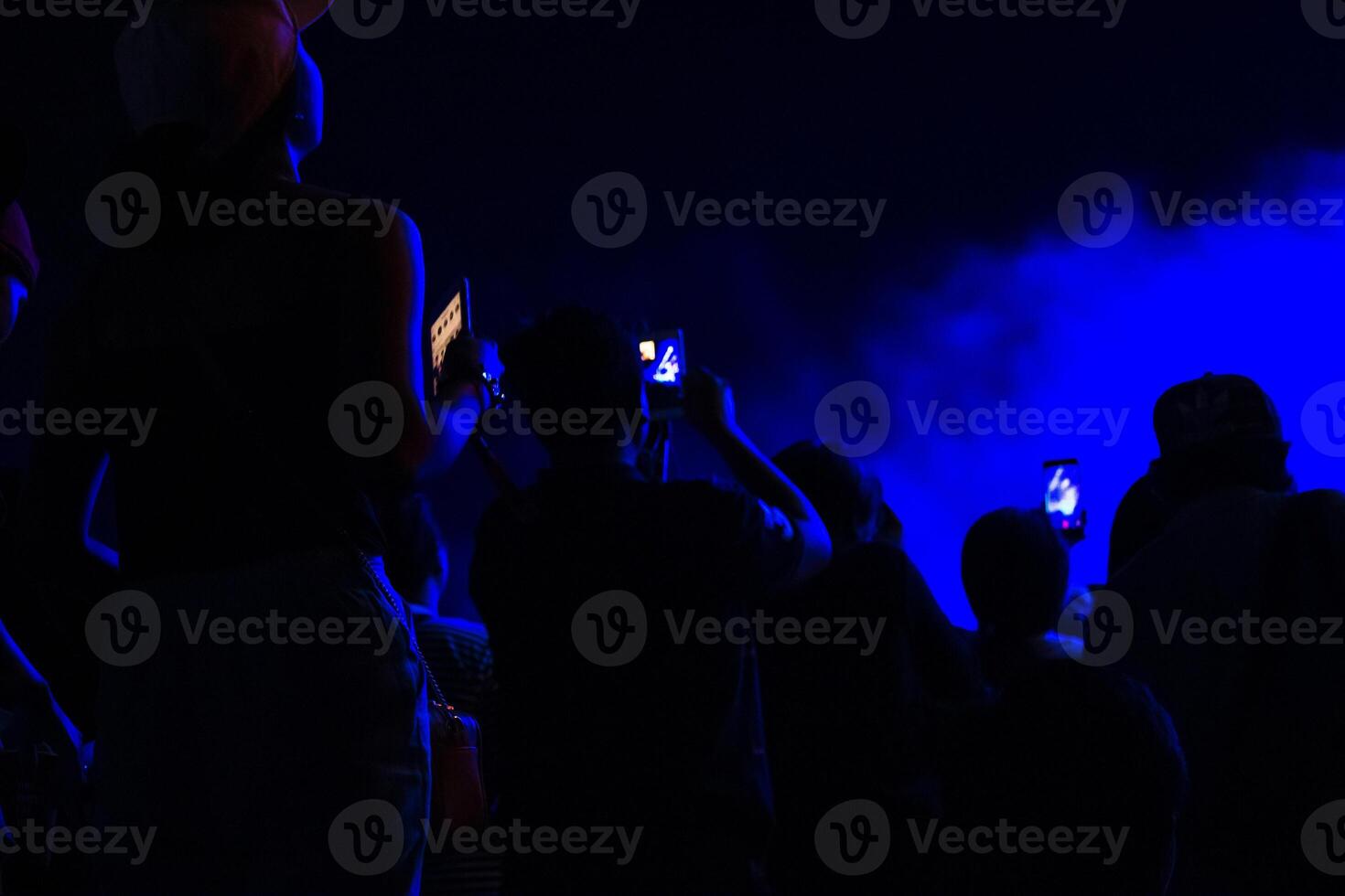 groupe de gens ayant amusement à la musique concert photo