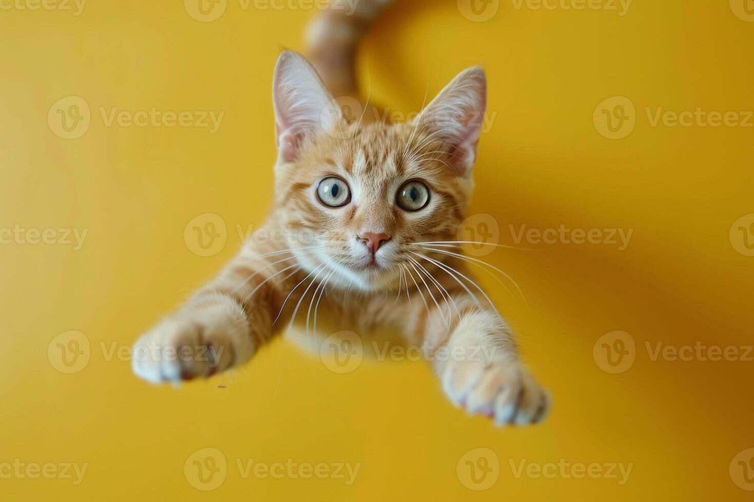 espiègle tigré chat sauter contre Jaune Contexte photo