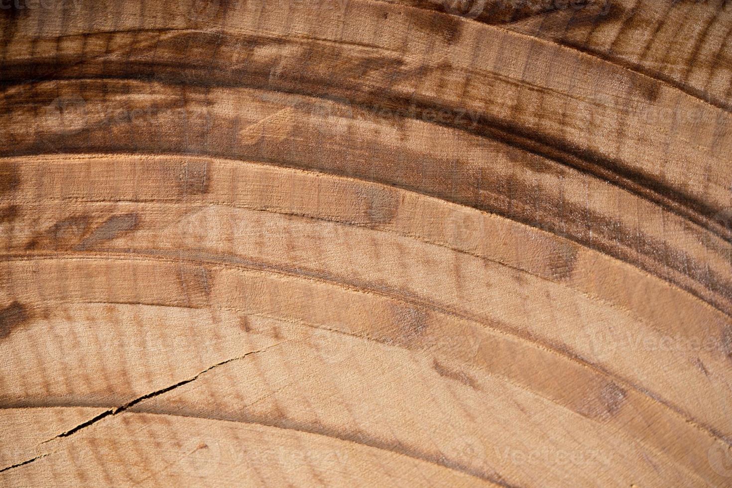 Bois d'érable coupé en détail brûlé et surchauffé photo