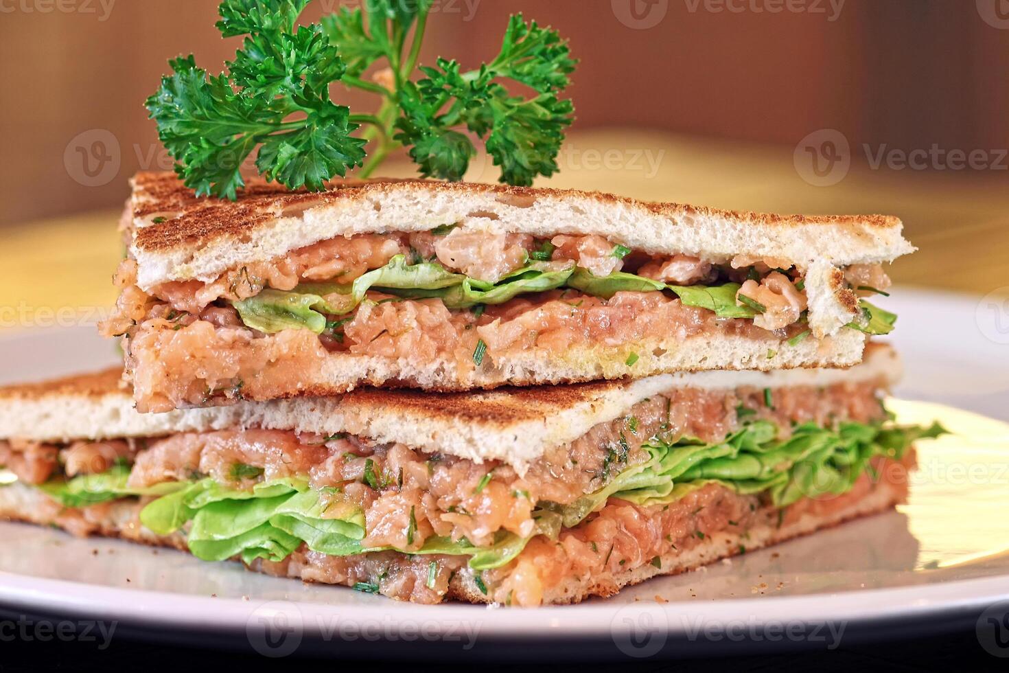 fumé Saumon sandwich avec grillé pain photo