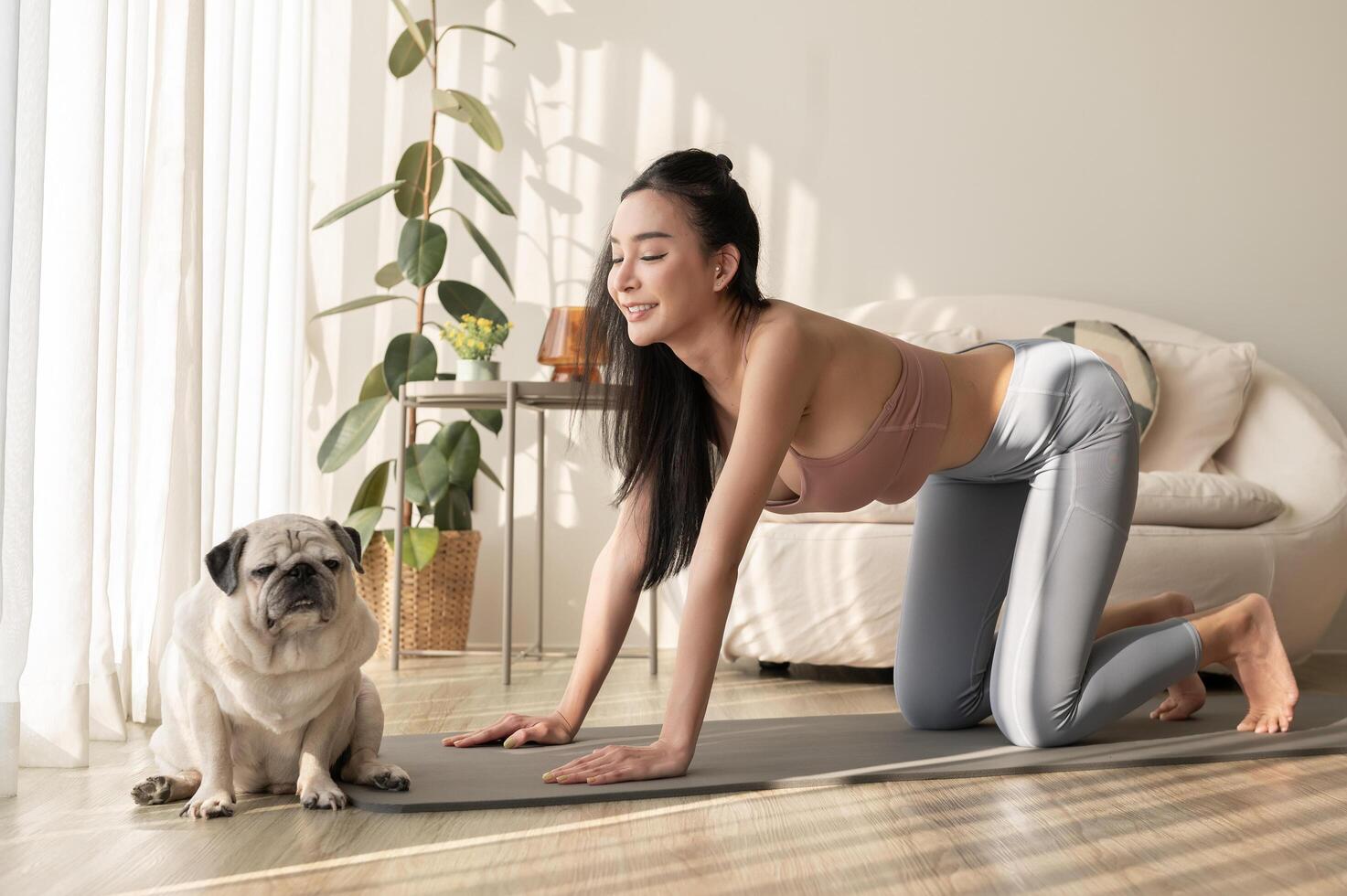asiatique femme dans tenue de sport exercice et Faire yoga avec mignonne chien dans vivant pièce à maison, en bonne santé mode de vie, mental santé concept. photo