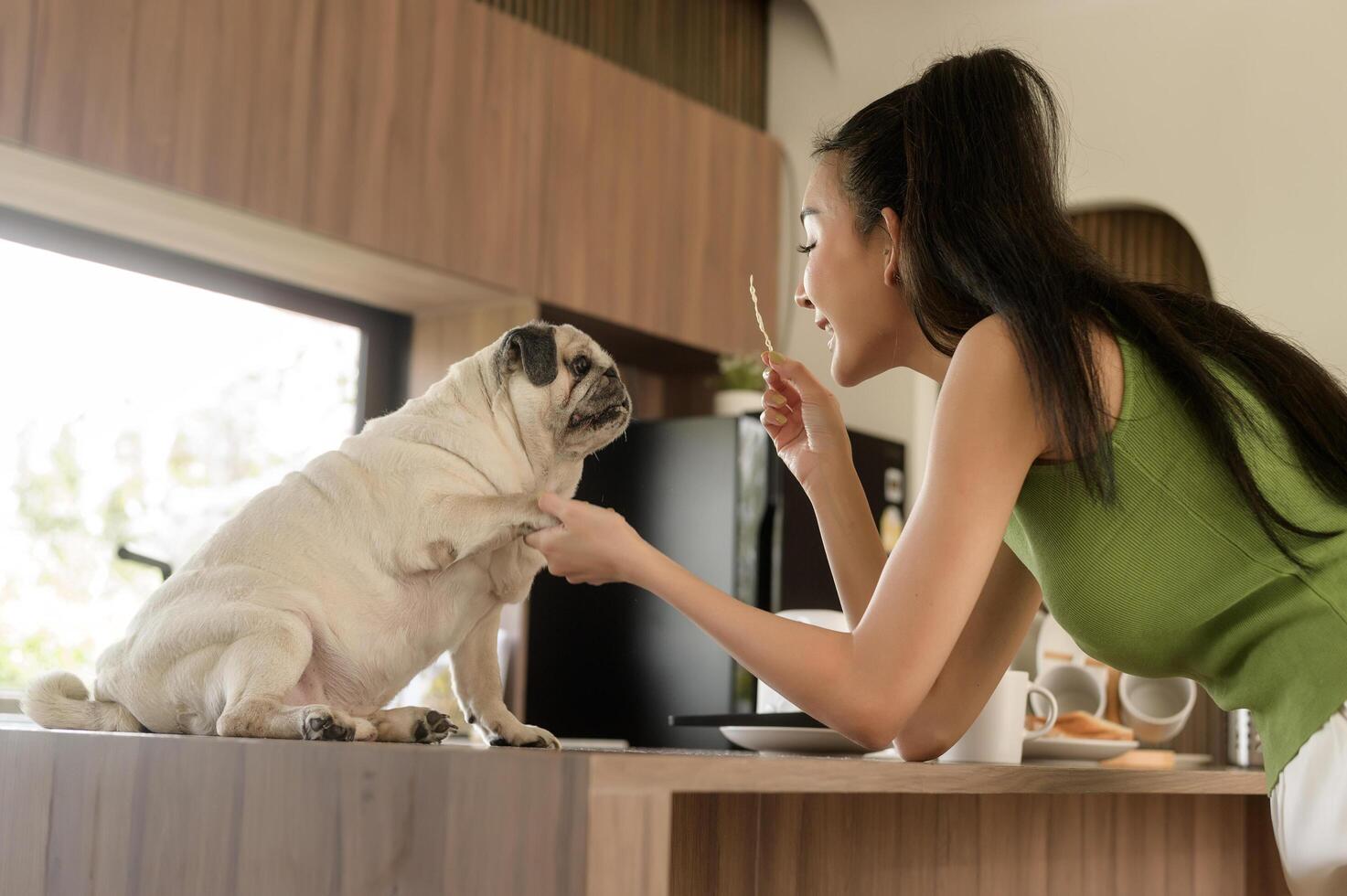 asiatique femme en train de préparer café et pain grillé pain pour petit déjeuner prendre plaisir avec chien à le cuisine table dans le Matin photo