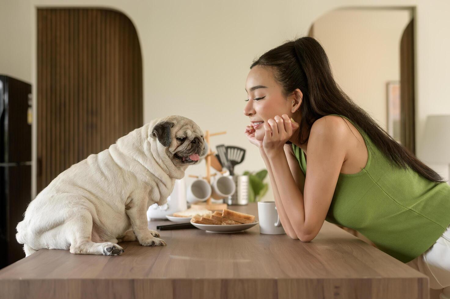 asiatique femme en train de préparer café et pain grillé pain pour petit déjeuner prendre plaisir avec chien à le cuisine table dans le Matin photo