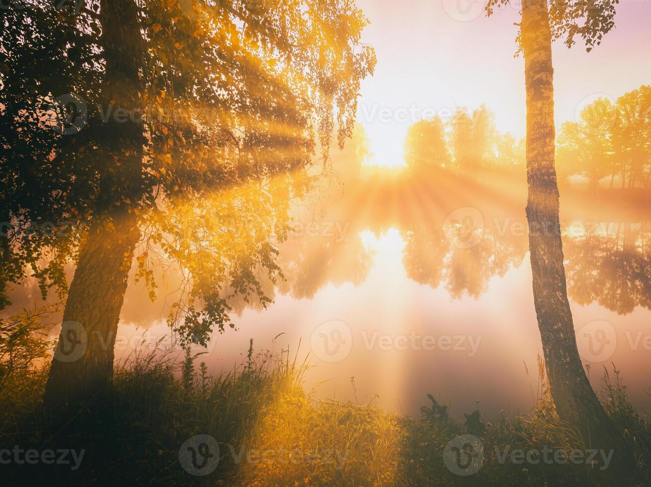 Aube sur une Lac ou rivière avec une ciel réfléchi dans le eau, bouleau des arbres sur le rive et le rayons de soleil rupture par leur et brouillard dans l'automne. esthétique de ancien film. photo