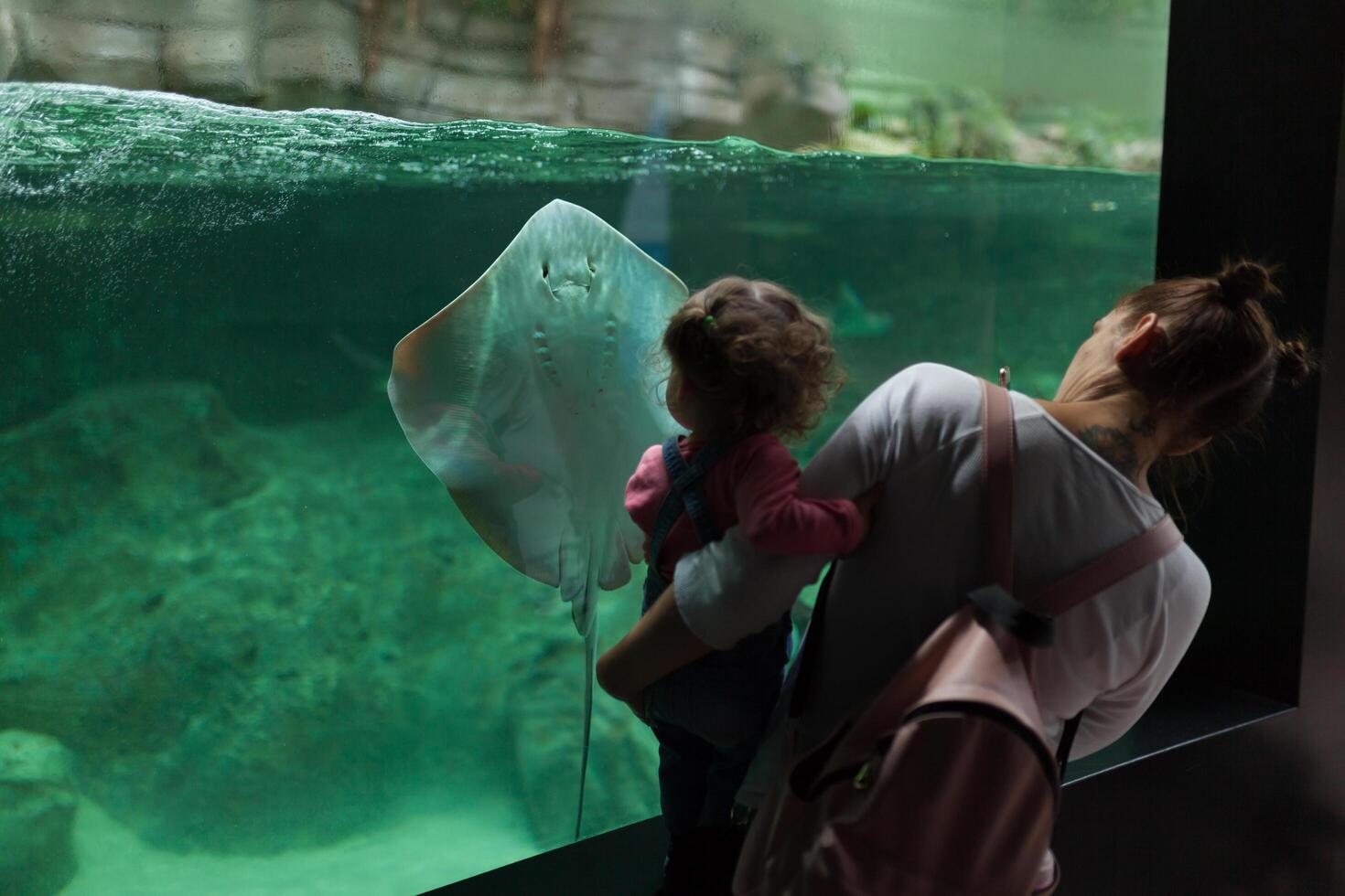 Brest, France 31 mai 2018 maman et le sien peu fille sont à la recherche à mer poisson et animaux dans le aquarium de le océanopole photo