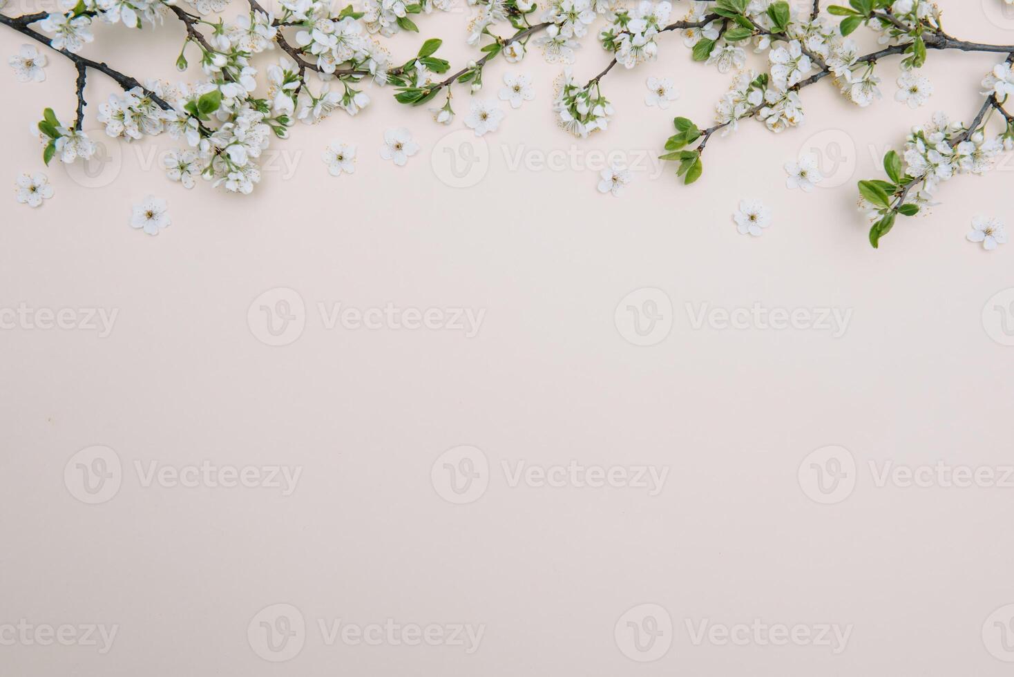 photo de printemps blanc Cerise fleur arbre sur pastel Contexte. vue de au-dessus de, plat poser, copie espace. printemps et été Contexte.