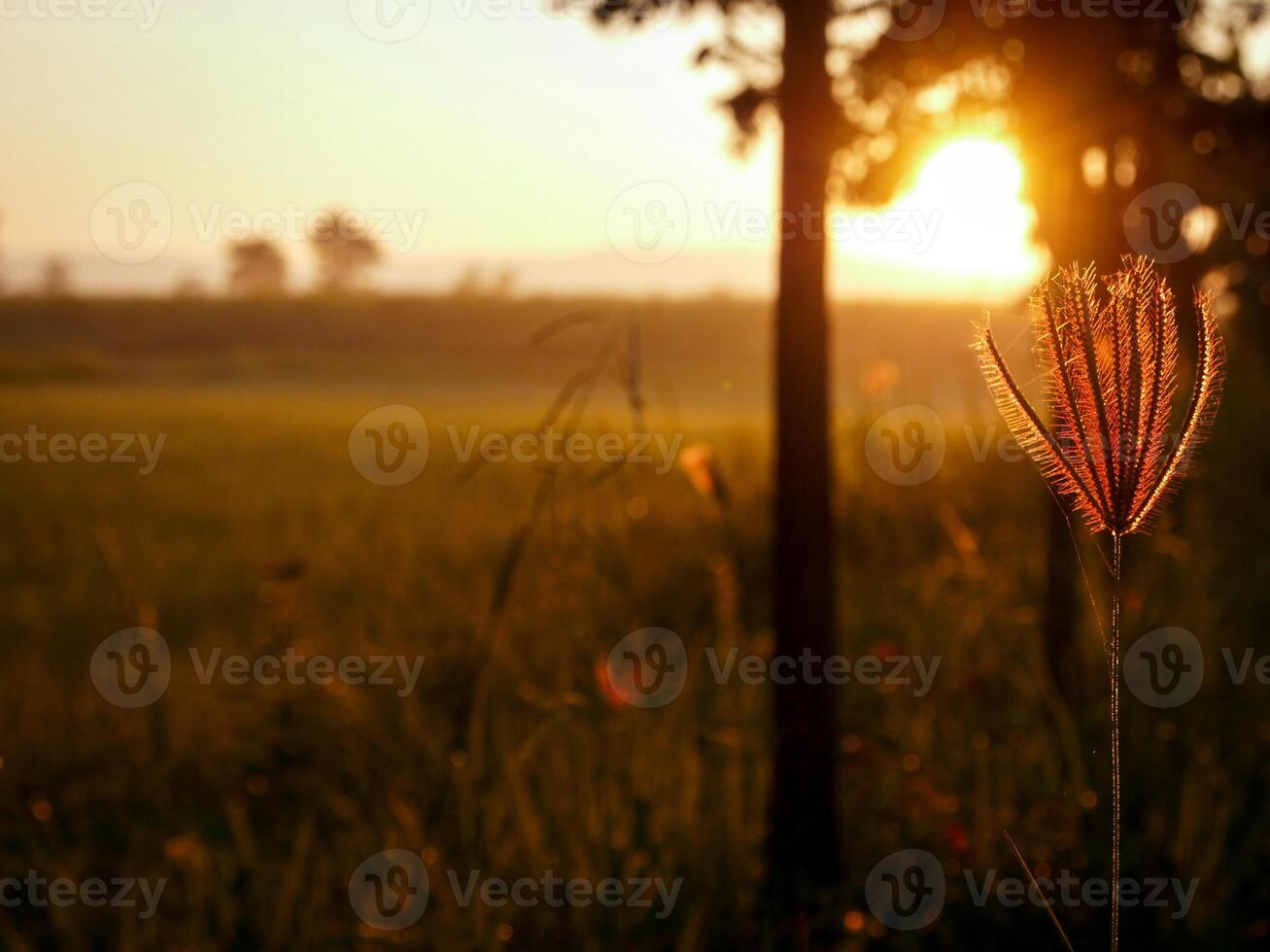 spectaculaire le coucher du soleil sur, Orange Soleil en hausse en haut plus de le horizon photo